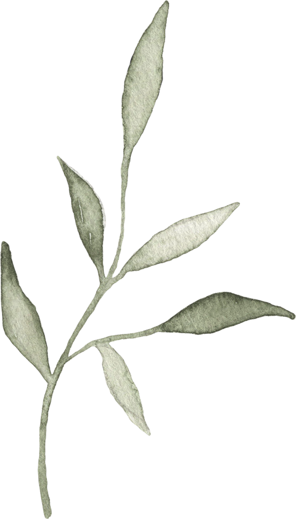 watercolor plant